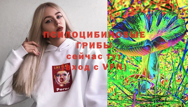 прущая мука Алзамай