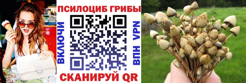 сколько стоит  Апрелевка  Галлюциногенные грибы мицелий 